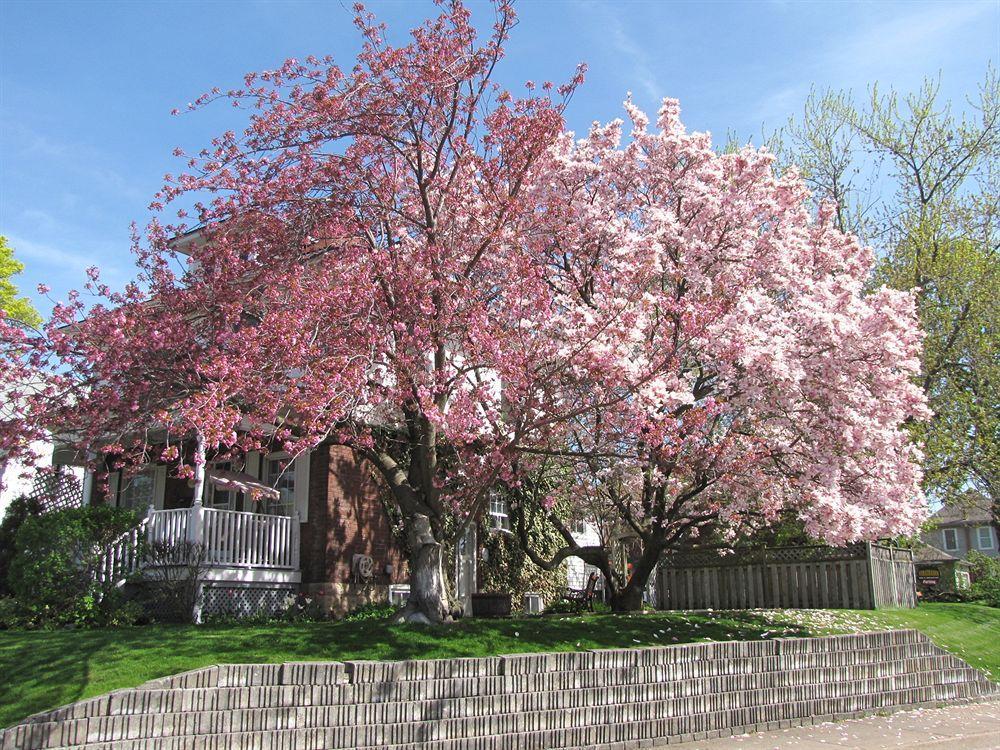 Strathaird Bed And Breakfast Niagara Falls Exterior photo